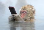 Новая функция WhatsApp