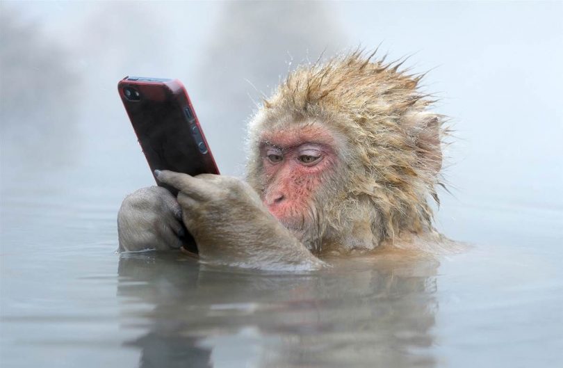 Новая функция WhatsApp